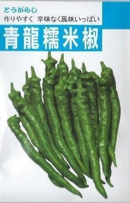 日本青龍糯米椒種子