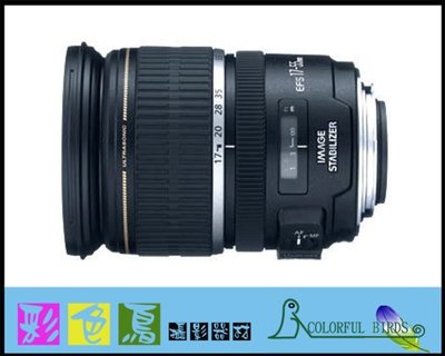 彩色鳥 (鏡頭出租 租相機) Canon EF-S 17-55mm f2.8 IS USM 7D2 80D 90D
