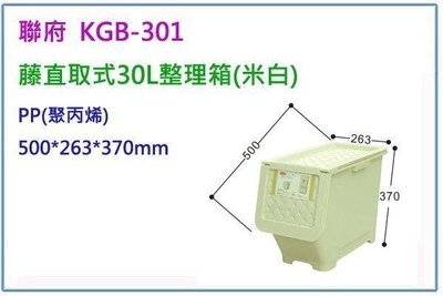 呈議)聯府 KGB301 KGB-301 6入 藤直取式30L整理箱 直取式收納箱