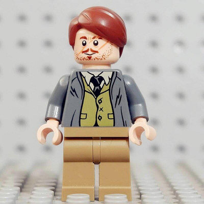 極致優品 LEGO 樂高 哈利波特人仔 盧平教授 HP157 魔法棒 雙面 LG561