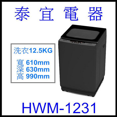 【泰宜電器】HERAN 禾聯HWM-1231 全自動洗衣機 12.5KG【另有HWM-1035】