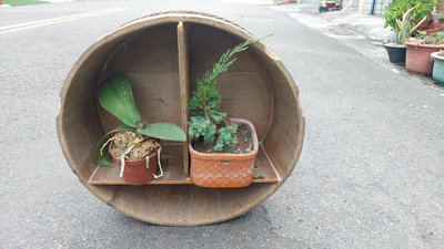 早期插秧苗的檜木桶改造後可自行放喜歡的東西 不包含盆栽
