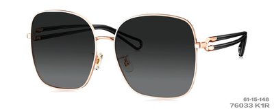 《名家眼鏡》PARIM 精品時尚金色大方框搭黑色鏡腳太陽眼鏡76033 K1R【台南成大店】