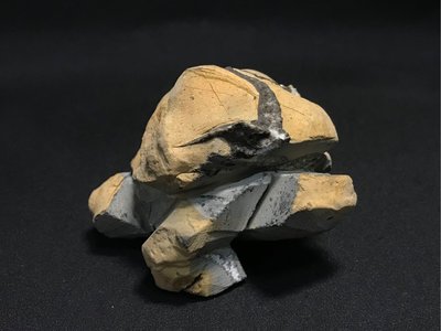 (石雕-台灣. 蘇 瑞鹿) 黃龜甲石 太極龜. 石龜. (有落款) (埔里黃龜甲石) 1