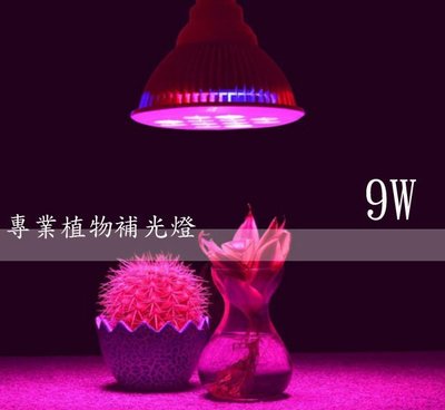 Led 18w 植物燈高功率par燈水草燈多肉莖葉蔬菜開花植物室內栽培水耕園藝e27頭 Yahoo奇摩拍賣 Line購物