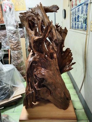 台灣紅檜木，自然美，大自然的傑作，美到爆