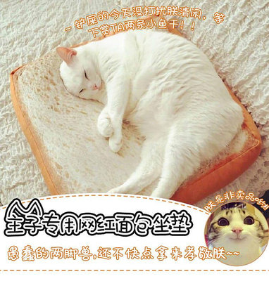 可愛仿真吐司面包切片靠墊貓咪榻榻米面包型坐墊動漫抱枕-萬物起源