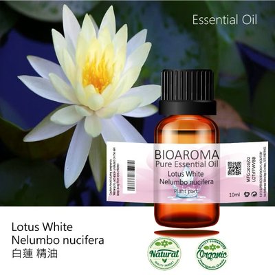 【純露工坊】白蓮脂吸法精油Lotus White - Nelumbo nucifera  10ml