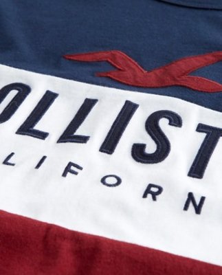 HCO Hollister 海鷗 短袖 T恤 現貨 貼布刺繡logo 暗紅/白/藍