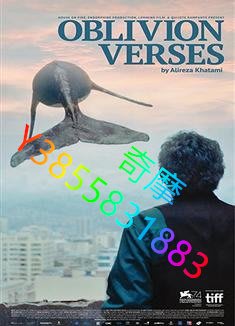 DVD 專賣店 遺忘詩行/湮沒的詩/Los versos del olvido