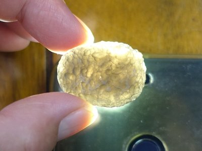 §能量礦石§ 亞利桑那隕石Saffordite Arizona天狼星隕石 重14.40g