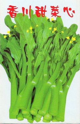 【1磅裝蔬菜種子P181】香川甜菜心，風味獨特的健康蔬菜！