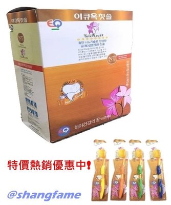 【上發】TWIN FLOWER 兩生花 奈米健康牙刷 軟毛設計 促銷優惠 一盒30支 韓國製 一支10元 通過SGS檢驗