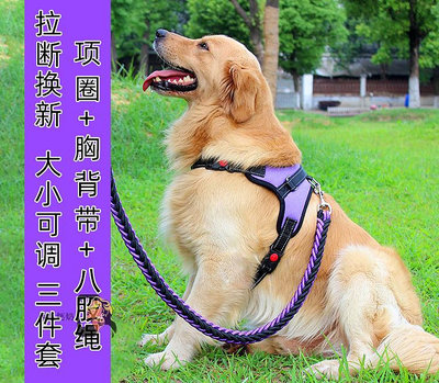 馬犬犬牽引繩大型可調節背心式阿拉斯加狗鏈狗帶中型訓犬遛狗項圈-西瓜鈣奶