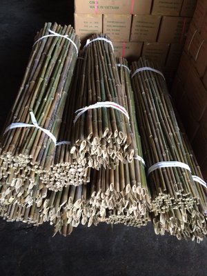 竹竿4尺長100支/ 捆，口徑1.2-2 公分