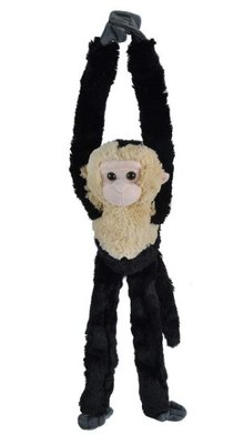 13817c 歐洲進口 好品質 限量品 可愛柔軟 小猴子白面捲尾猴子猿猴動物睡覺絨毛絨玩偶布偶絨毛絨娃娃擺設品送禮禮物