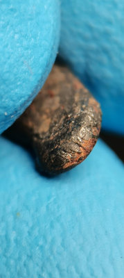 【二手】TAZA塔扎鐵隕石，精品定塔扎鐵隕石，國際命名NWA859。52720【李掌櫃】