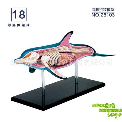 BOxx潮玩~4D MASTER 動物解剖拼裝模型 海洋生物教具 海豚26103
