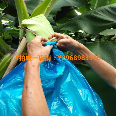 防蟲袋 農用香蕉套袋有孔無孔一體袋定型專用防寒連體袋水果套袋防蟲袋