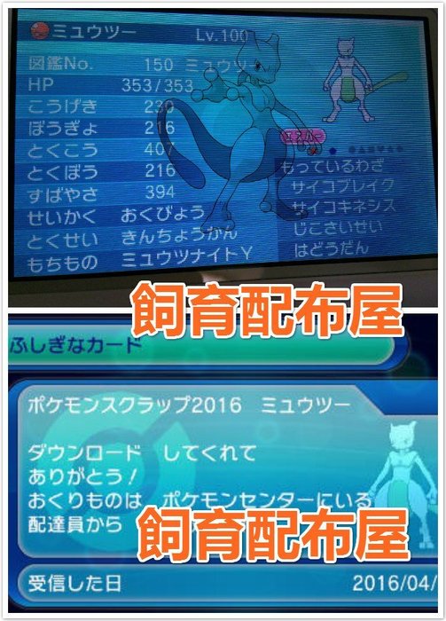 飼育配布屋 神奇寶貝 配布 配信 色違 超夢 日版 X Y Oras 3v 6v 寶石版 Pスクラップ 皮卡丘 Yahoo奇摩拍賣