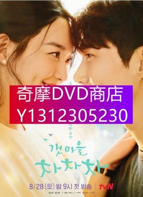 DVD專賣 2021韓劇 海岸村恰恰恰/洪班長 申敏兒/金宣虎 高清盒裝4碟
