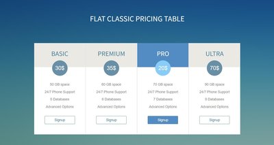 FLAT CLASSIC PRICING TABLE 響應式網頁模板、HTML5+CSS3、網頁特效  #02045A