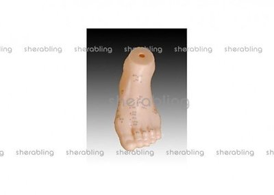 (ME-C_003)13cm足針灸模型、腳部穴位模型、針灸腳模型、腳模