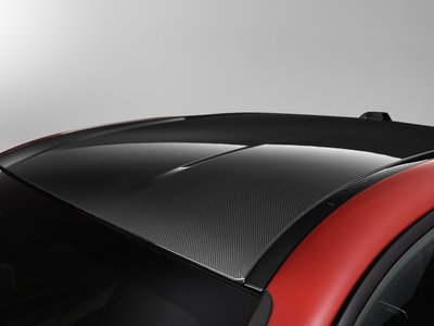 【樂駒】BMW G87 M2 原廠 碳纖維車頂蓋 Carbon Roof Panel 改裝 精品 套件 輕量化
