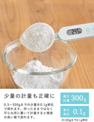 ☆【阿肥】☆日本 DRETEC 電子式 湯匙秤 減醣 酵母秤 300g 白色 非供交易使用