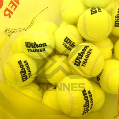 【綠色大地】WILSON 網球 無壓練習網球 單顆 網球練習球 教學用網球 按摩球 舒壓球 配合核銷