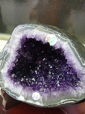 ~shalin-crysta~烏拉圭原礦皮紫水晶洞~6.1公斤~嘴大吃四方~藏風聚氣~招財納祥~低價起標!