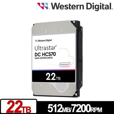 Western Digital 威騰 WD Ultrastar DC HC570 22TB 3.5吋 企業級硬碟