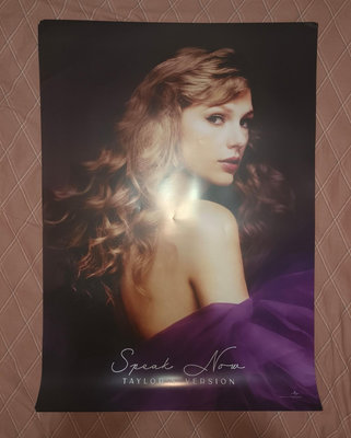 【二手】【現貨】霉霉 Taylor Swift Speak Now CD 唱片 音樂專輯【伊人閣】-828