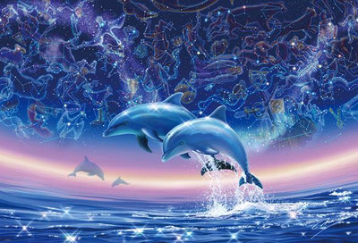 83-041 絕版夜光300片日本進口拼圖 海洋 海豚 星空 12星座 神話之海