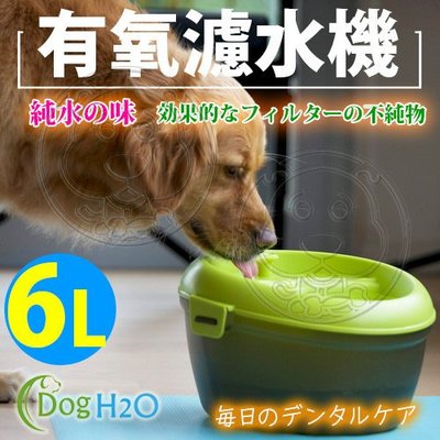 【🐱🐶培菓寵物48H出貨🐰🐹】Dog&amp;Cat H2O》有氧濾水機飲水機飲水器6L-綠大型犬專用特價1560元
