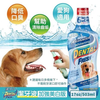 美國 Dental Fresh 潔牙白《犬貓適用-潔牙液(加強美白版)》17oz(503ml)