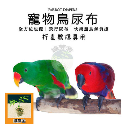 】寵物鳥尿布 折衷鸚鵡專用 飛行鳥尿布  鸚鵡尿布 飛行尿布 方便遛鳥且可重複使用