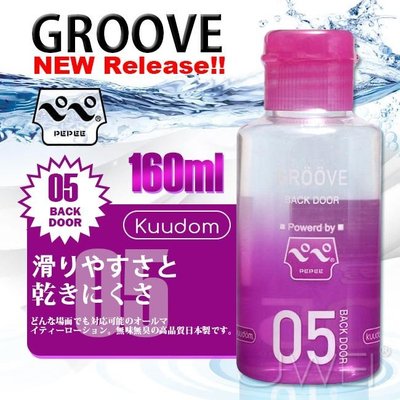 日本原裝進口NPG．GROOVE 05 バックドア潤滑液-160ml