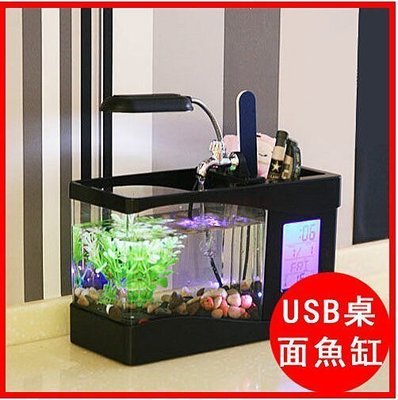 【婷婷小屋123】USB桌面魚缸 usb水族箱 小魚缸 桌上迷你魚缸 創意生態 多功能水族生態小魚缸