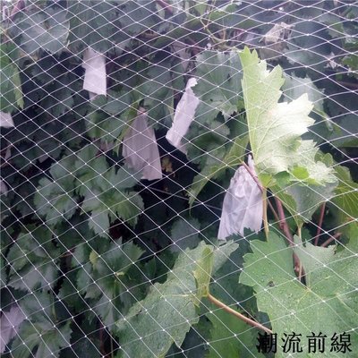 精選好物 防鳥網透明白色綜絲尼龍防鳥網泥鰍養殖 葡萄果園果樹櫻桃魚線網