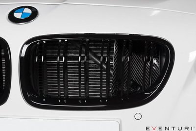 【樂駒】Eventuri 英國 進氣 Carbon Kevlar Scoop Set BMW F1X M6 進氣蓋飾板