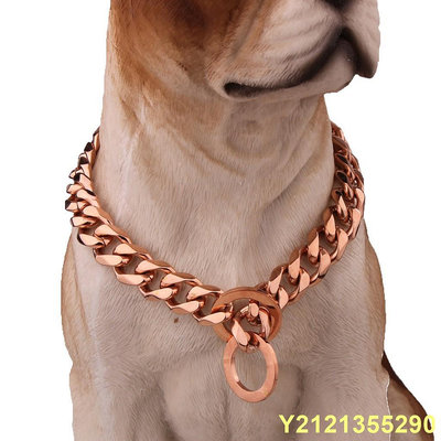 可調節寵物狗不銹鋼鏈項鍊項圈強力玫瑰金色調不銹鋼訓練產品,適用於大