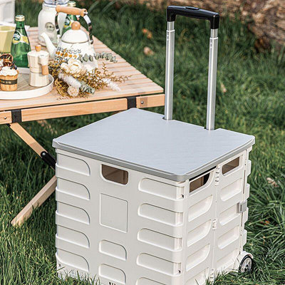 營收納箱 便攜 容量 戶外可折迭野餐收納盒手提式野營儲箱日式號帶蓋車用整理分類
