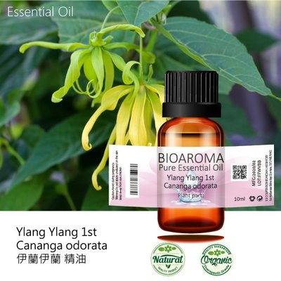 【芳香療網】Ylang Ylang 1st - Cananga odorata 伊蘭伊蘭一號精油 100ml