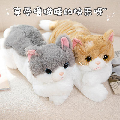 新款仿真貓咪玩具公仔可愛小貓咪毛絨娃娃兒童橘貓陪伴抱枕靠枕