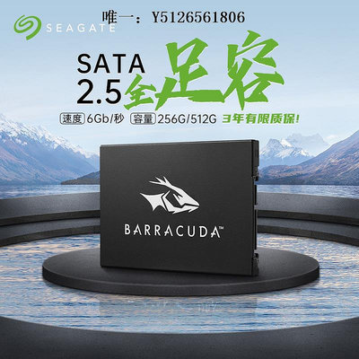 移動硬盤Seagate希捷2.5寸512G 1T 2T固態硬盤筆記本臺式機SSD硬盤SATA3固態硬盤