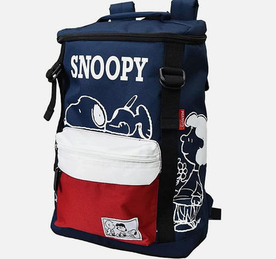 正版 限量 史努比 snoopy 後背包 旅行包 登山包 超大容量 18L 藍色 成人後背包 絕版背包 日本 snoopy peanuts Backpack 有