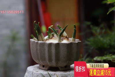 漳州窯，水仙花盆