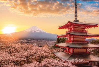 13-05 迷你1000片日本正版拼圖 風景 夢幻 櫻花 富士山