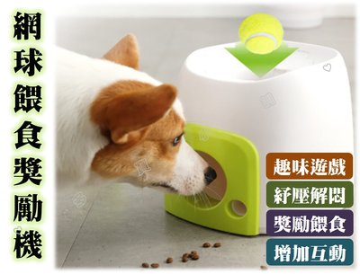 台灣出貨 寵物網球餵食獎勵機 寵物互動益智網球發球器 訓練互動器 狗狗玩具 寵物益智玩具 慢食訓練 療癒玩具 潔牙球
